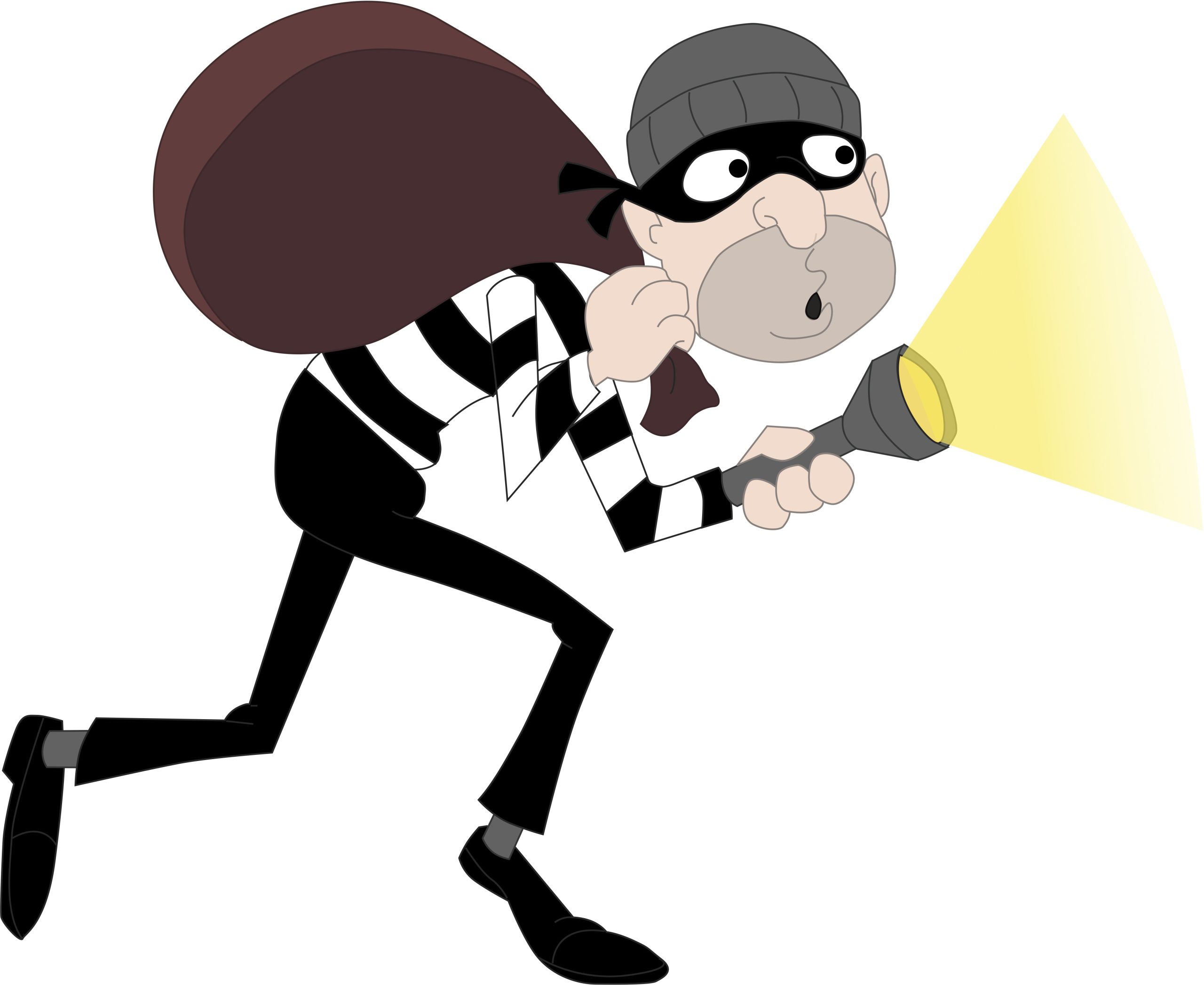 burglar, criminal, thief